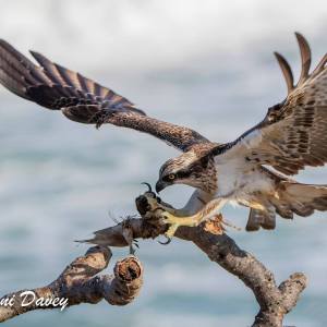 131941731_4176170142412072_9032337388650221186_n