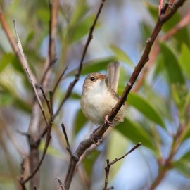 143511816_4268103483218737_506895131683831566_n