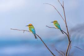 146135682_4292084360820649_3259552058146112307_n