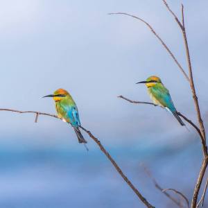 146135682_4292084360820649_3259552058146112307_n