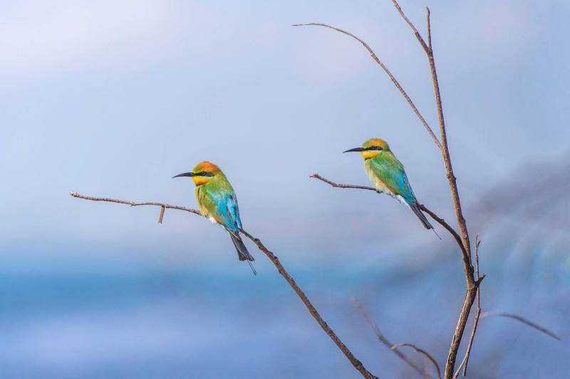 146135682_4292084360820649_3259552058146112307_n