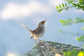 215409533_4765468983482182_8840147384717339255_n