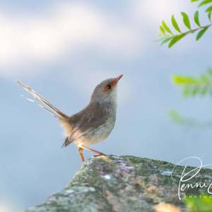 215409533_4765468983482182_8840147384717339255_n