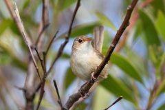 143511816_4268103483218737_506895131683831566_n